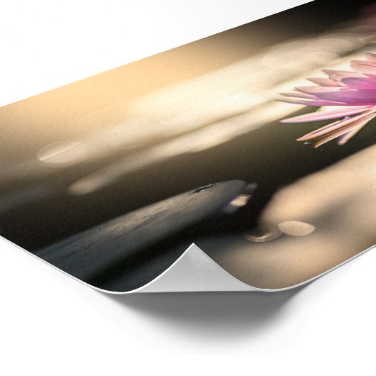 Mooie Lotus,Lake,Zen Poster (Hoek)