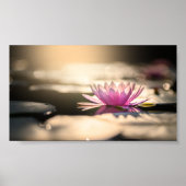 Mooie Lotus,Lake,Zen Poster (Voorkant)