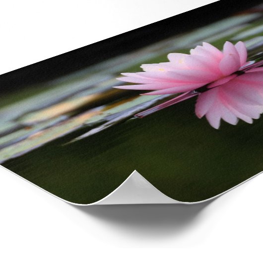 Mooie Lotus, Zen Poster (Hoek)