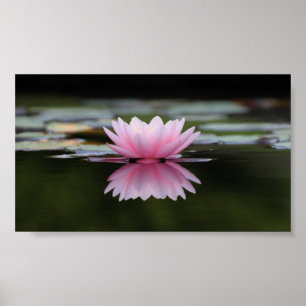 Mooie Lotus, Zen Poster