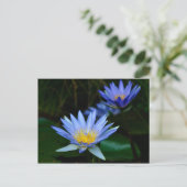 Mooie lotusbloemen en betekenis briefkaart (Staand voorkant)