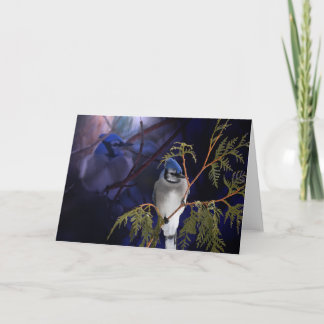 Mooie 'Love Blue Jay Wild Bird Card Kaart