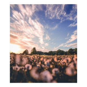 Mooie lucht boven de vlakte foto afdruk