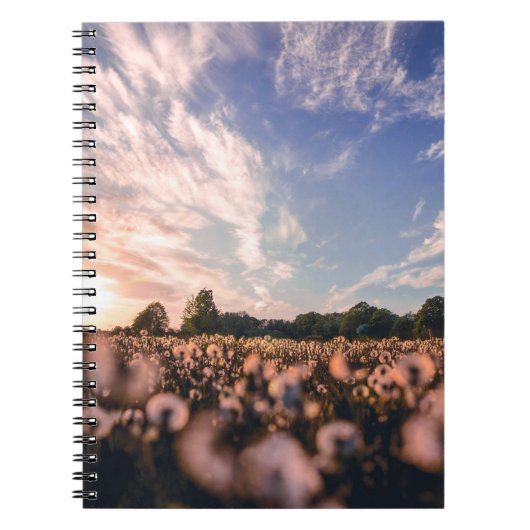 Mooie lucht boven de vlakte notitieboek (Voorkant)