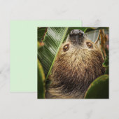 Mooie Luiaard Kerstkaart (Voorkant / Achterkant)