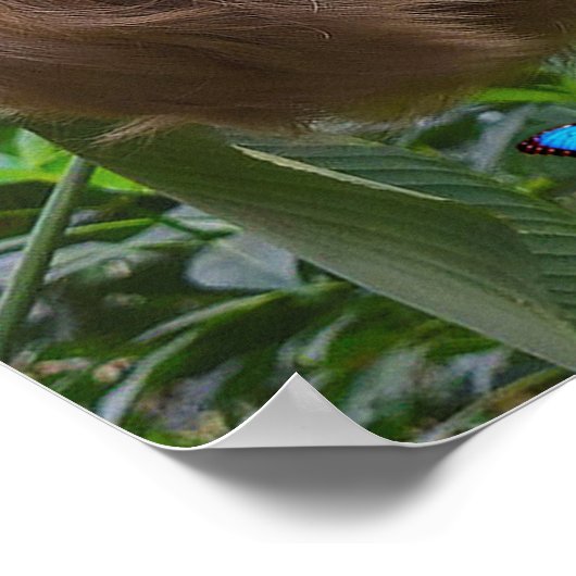 Mooie luiaard Schrift Poster Efeziërs 4:32 (Hoek)