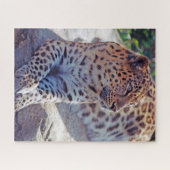 Mooie luipaard - legpuzzel (Horizontaal)