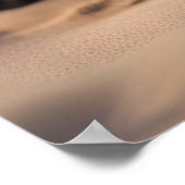 Mooie luipaard poster (Hoek)