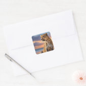Mooie luipaard vierkante sticker (Envelop)