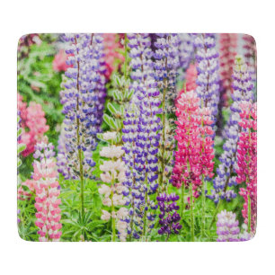 Mooie Lupine Colorful Flowers  Snijplank
