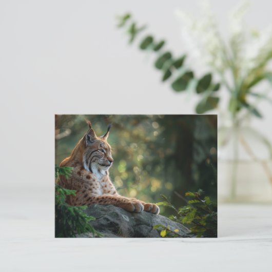 Mooie lynx ontspannen op een rots briefkaart (Staand voorkant)