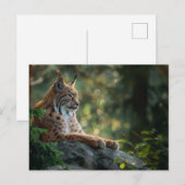 Mooie lynx ontspannen op een rots briefkaart (Voorkant / Achterkant)