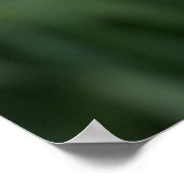 Mooie Maagdenpalm Iris Bloem Poster (Hoek)