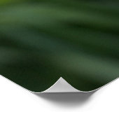 Mooie Maagdenpalm Iris Bloem Poster (Hoek)