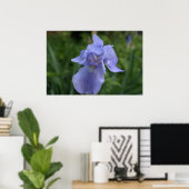 Mooie Maagdenpalm Iris Bloem Poster (Thuiskantoor)