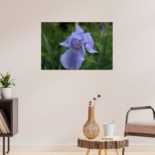 Mooie Maagdenpalm Iris Bloem Poster (Woonkamer 3)