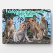 Mooie Macaque Monkey Schrift Exodus 20:16 Fotoplaat (voorkant)