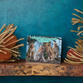 Mooie Macaque Monkey Schrift Exodus 20:16 Fotoplaat (Zijkant)