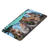 Mooie Macaque Monkey Schrift Exodus 20:16 Magneet (Linkerzijde)