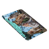 Mooie Macaque Monkey Schrift Exodus 20:16 Magneet (Rechterzijde)