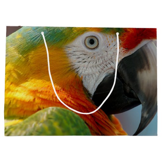 Mooie Macaw Groot Cadeauzakje (Achterkant)