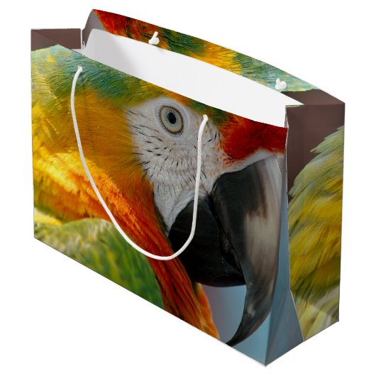 Mooie Macaw Groot Cadeauzakje (Achterkant Gekanteld)