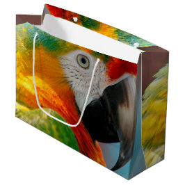 Mooie Macaw Groot Cadeauzakje