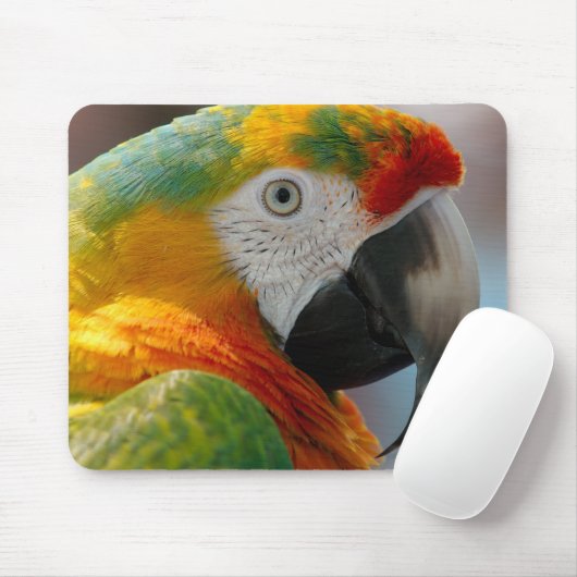 Mooie Macaw Muismat (Met muis)