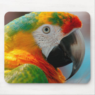 Mooie Macaw Muismat