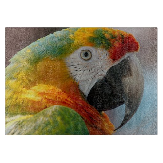 Mooie Macaw Snijplank (Voorkant)