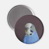 Mooie Macro Budgie Bird Magneet (Voorkant / Achterkant)