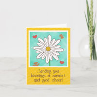 Mooie Madeliefjes Bloem Met Teddyberen Beterschap