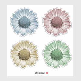 Mooie madeliefjesbloemkoppen set van vier kleuren  sticker