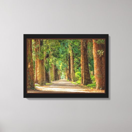Mooie Magische Lente Bos Canvas Print (Voorkant)