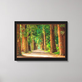 Mooie Magische Lente Bos Canvasprint Canvas Afdruk