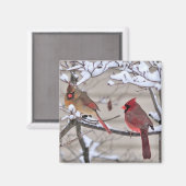Mooie magneet shows rode kardinalen in de sneeuw (Voorkant / Achterkant)