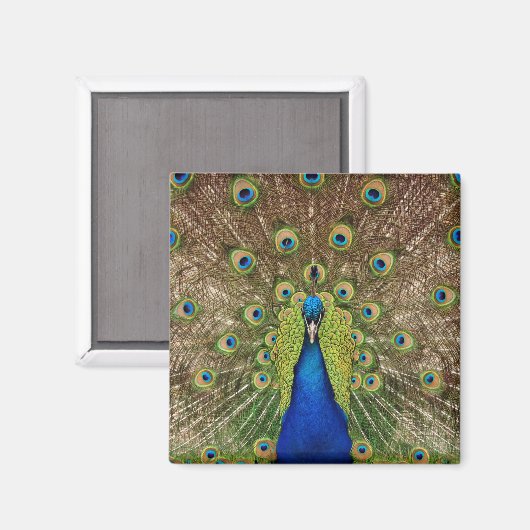 Mooie magneet voor pekelafdrukken (Voorkant / Achterkant)