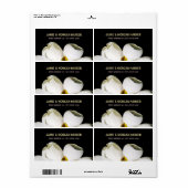 Mooie Magnolia trouwadreslabel Etiket (Full Sheet)