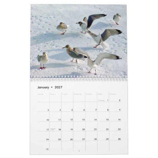 Mooie Maine Coast Kalender (Jan 2027)