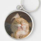 Mooie Maine Coon Cat Close-up foto Sleutelhanger (Voorkant)