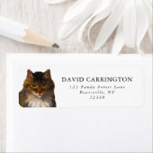 Mooie  Maine Coon Cat Portret Schilderij Etiket (Insitu)