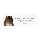 Mooie  Maine Coon Cat Portret Schilderij Etiket (Voorkant)