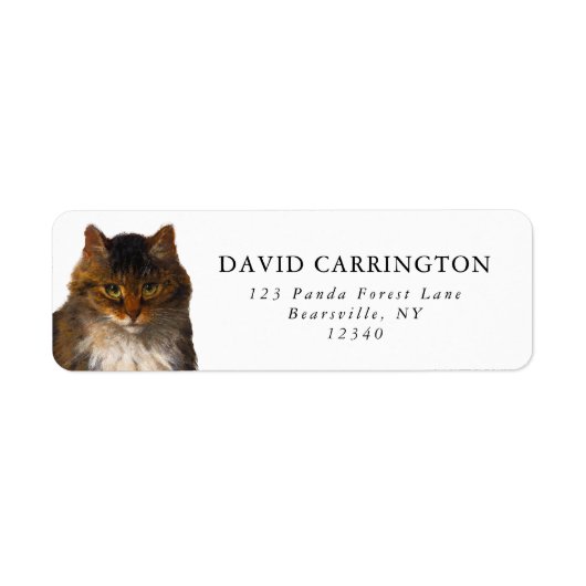 Mooie  Maine Coon Cat Portret Schilderij Etiket (Voorkant)