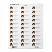 Mooie  Maine Coon Cat Portret Schilderij Etiket (Full Sheet)