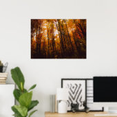 Mooie Majestueuze Bomen In Herfstbos Poster (Thuiskantoor)
