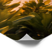 Mooie Maldiven Beach Sunset Poster (Hoek)