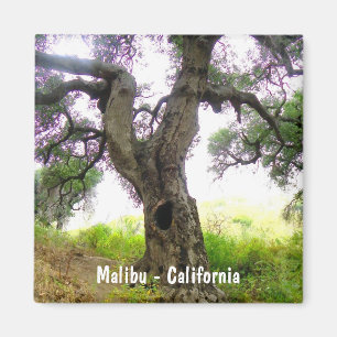 Mooie Malibu Magnet! Magneet