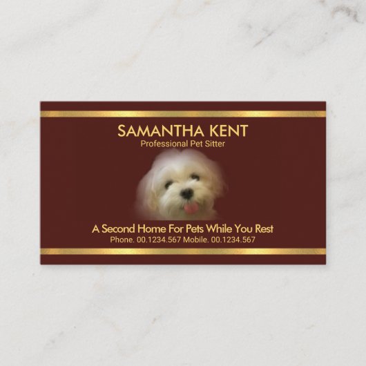 Mooie Maltese hond Red Gold Stripes Pet Sitter Visitekaartje (Voorkant)