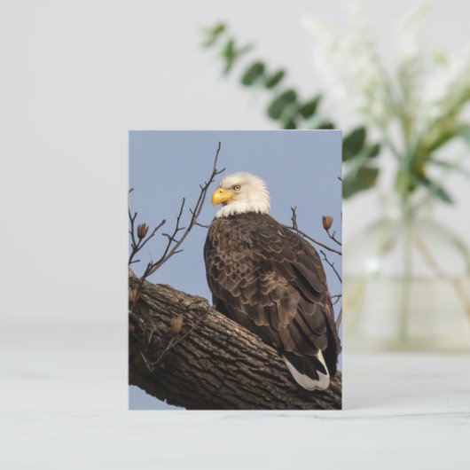 Mooie mama (Eagle) Briefkaart (Staand voorkant)
