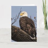 Mooie mama (Eagle) Kaart (Voorkant)